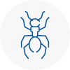 Ant Removals In East Ayrshire