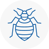 Bed Bug Extermination In East Ayrshire