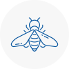 Bee Nest Removal East Ayrshire