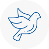 Bird Prevention East Ayrshire