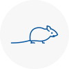 Mice Exterminators In East Ayrshire