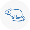 Rat Control East Ayrshire