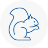 East Ayrshire Rodent Removals